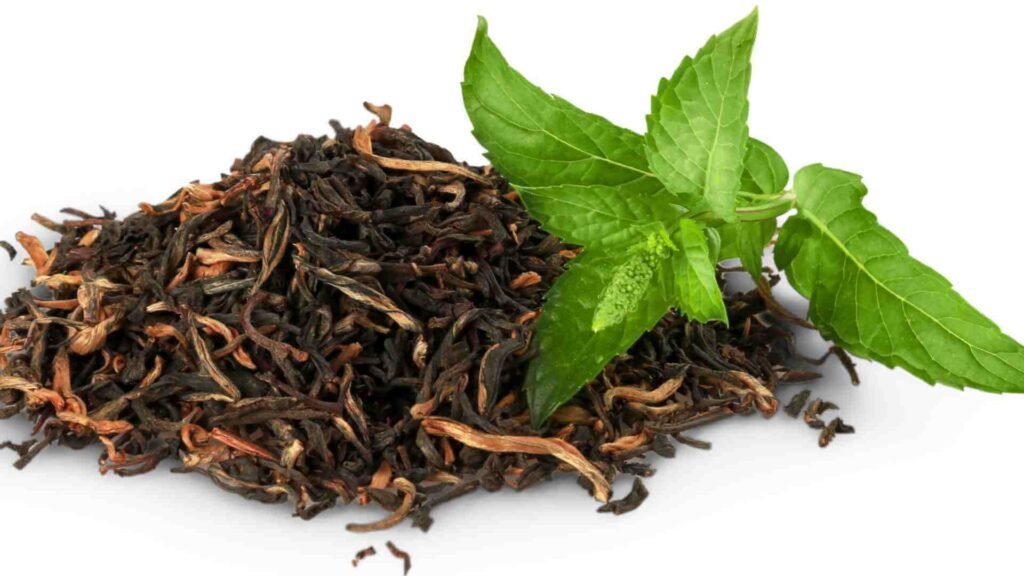 green-tea-se-cholesterol-kam-karen