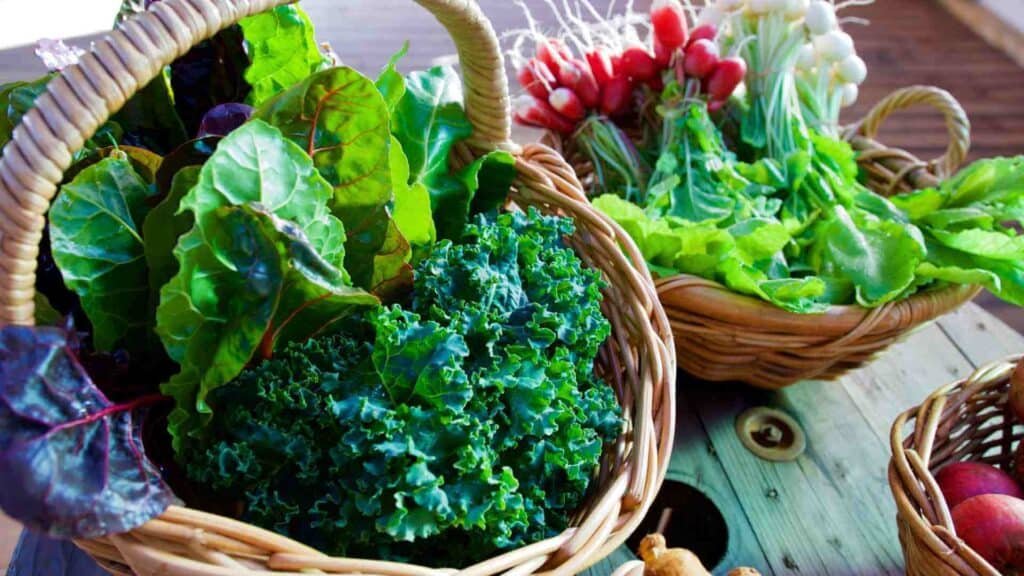 green-leafy-vegetables