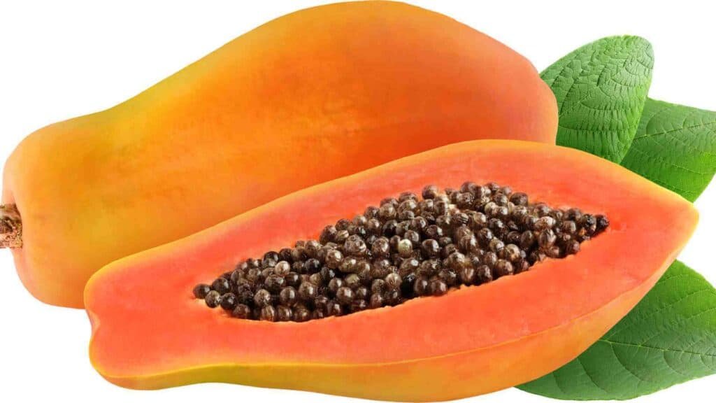 papaya